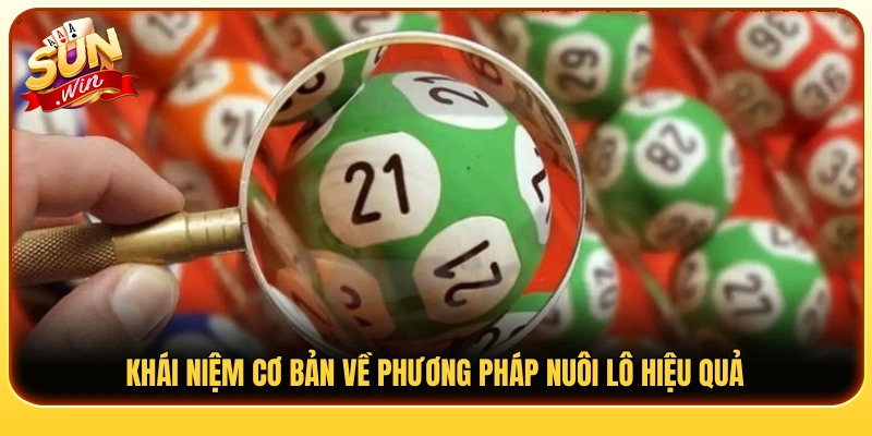 Giải thích cơ bản về hình thức nuôi lô